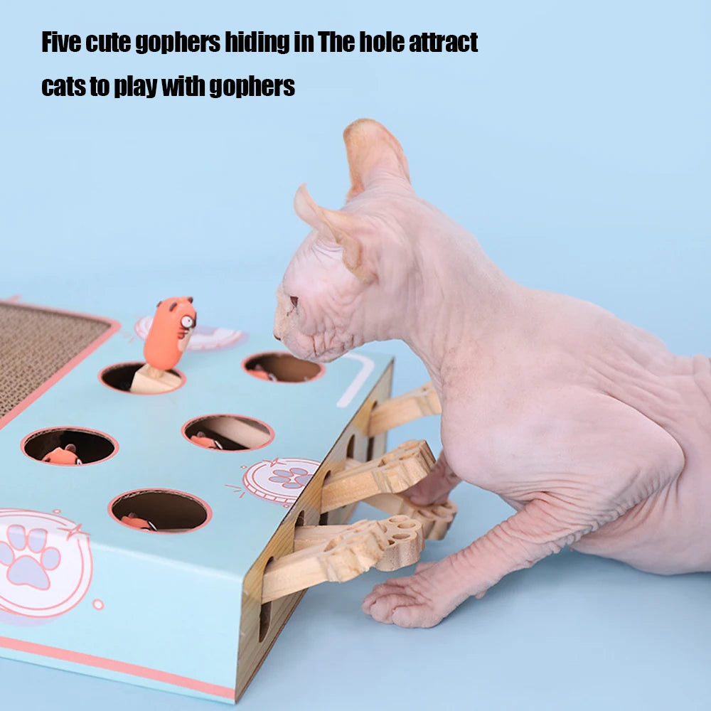 CowLost | cat-hit-gophers-cat-toy-chase-hunt-mouse-cat-game-box-3-in-1-with-scratcher-maze-interactive-educational-funny-cat-stick |2