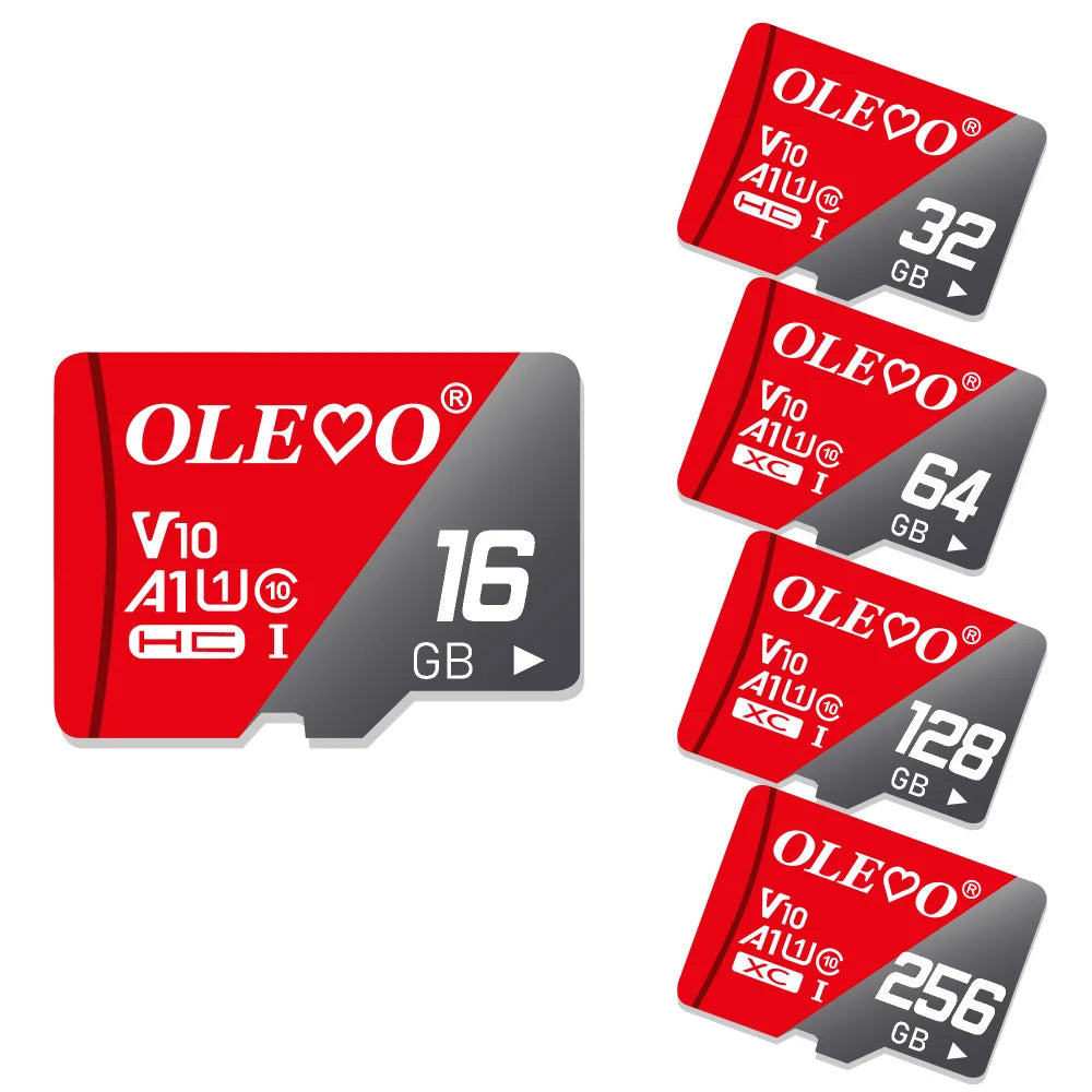 CowLost | uncategorized-olevo-microsdxc-memory-cards-with-high-speed-performance |1
