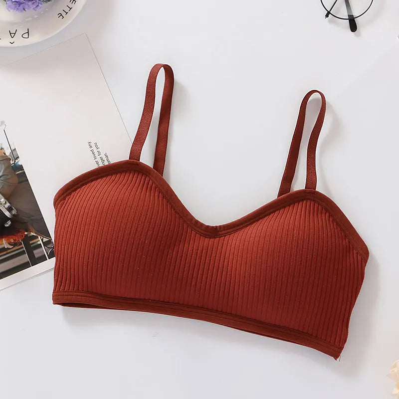 CowLost | product_id-wirefree-seamless-push-up-padded-bra-bralette-for-women-comfortable-intimates |14