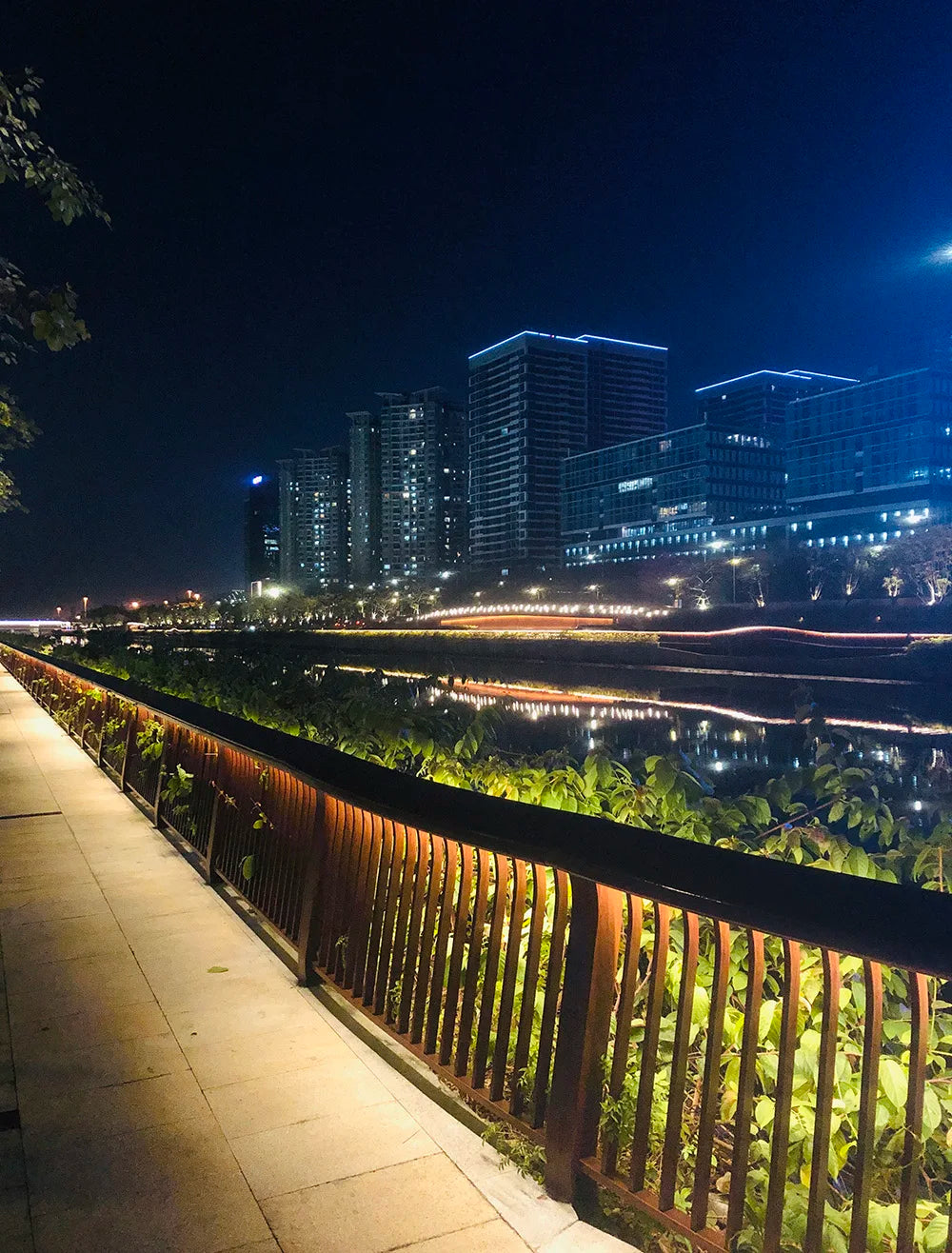 CowLost | 5m-600leds-led-strip-2835-dc12v-24v-120leds-m-home-lamp-strip |5