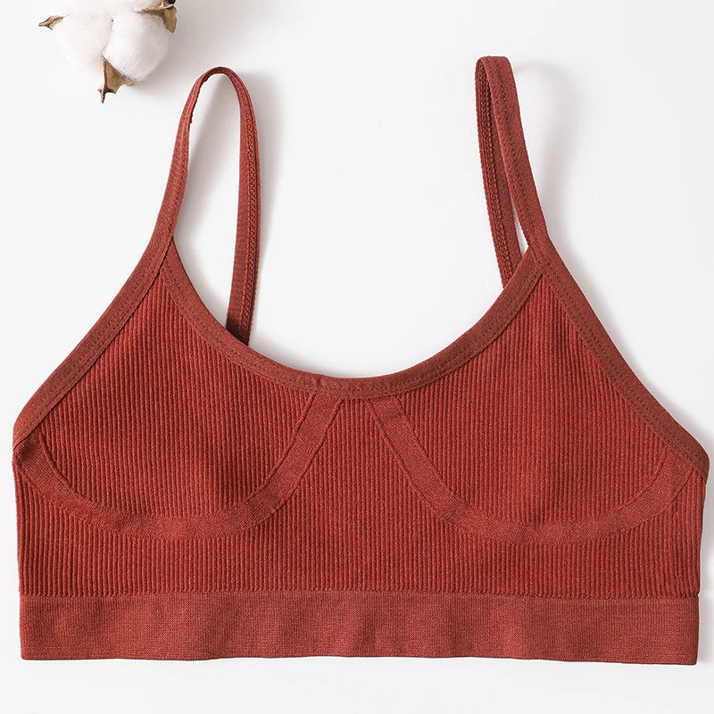 CowLost | product_id-seamless-wireless-push-up-low-back-sport-bra-for-women-m-xl |24