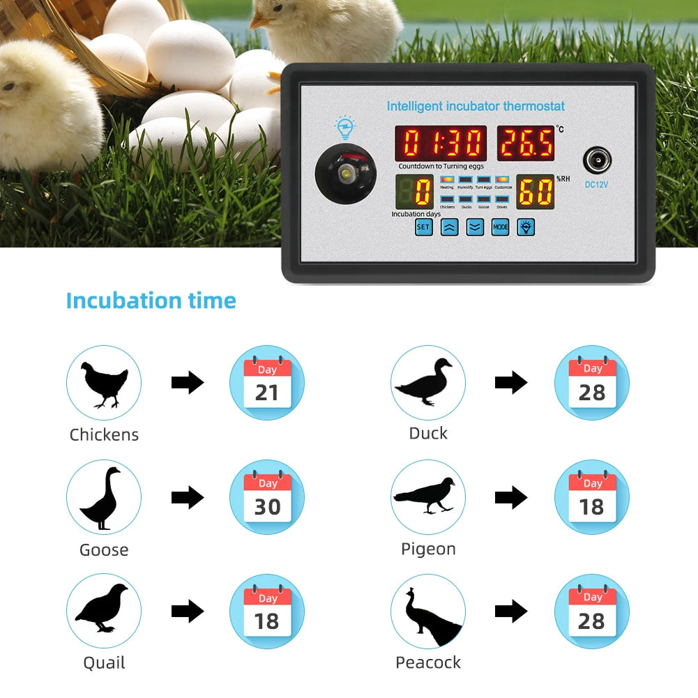 12V/220V Mini Thermostat Incubator Temperature Humidity Controller for Farm Poultry