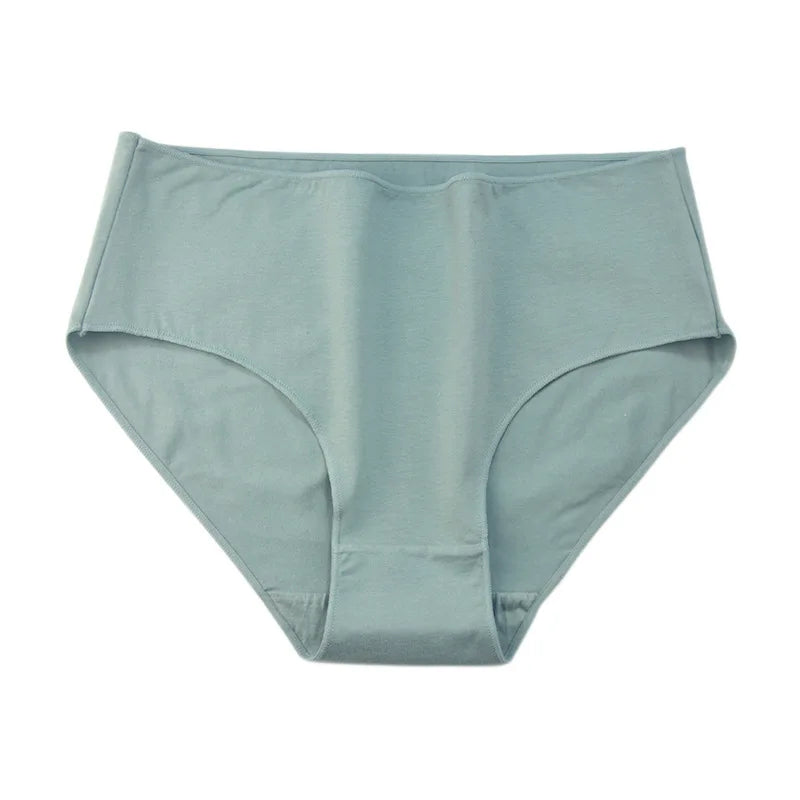 CowLost | product_id-2-pack-women-s-high-rise-cotton-briefs-solid-colors-m-2xl |13