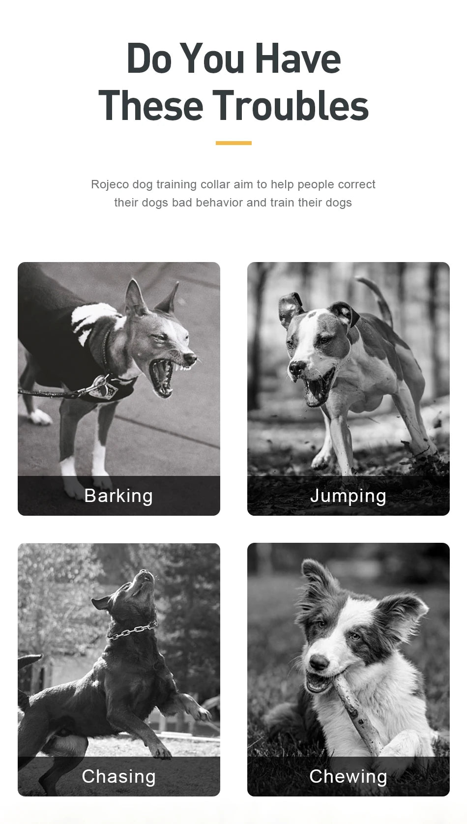 CowLost | dog-diapers-rojeco-1000m-waterproof-electric-dog-training-collar-with-remote-control |12