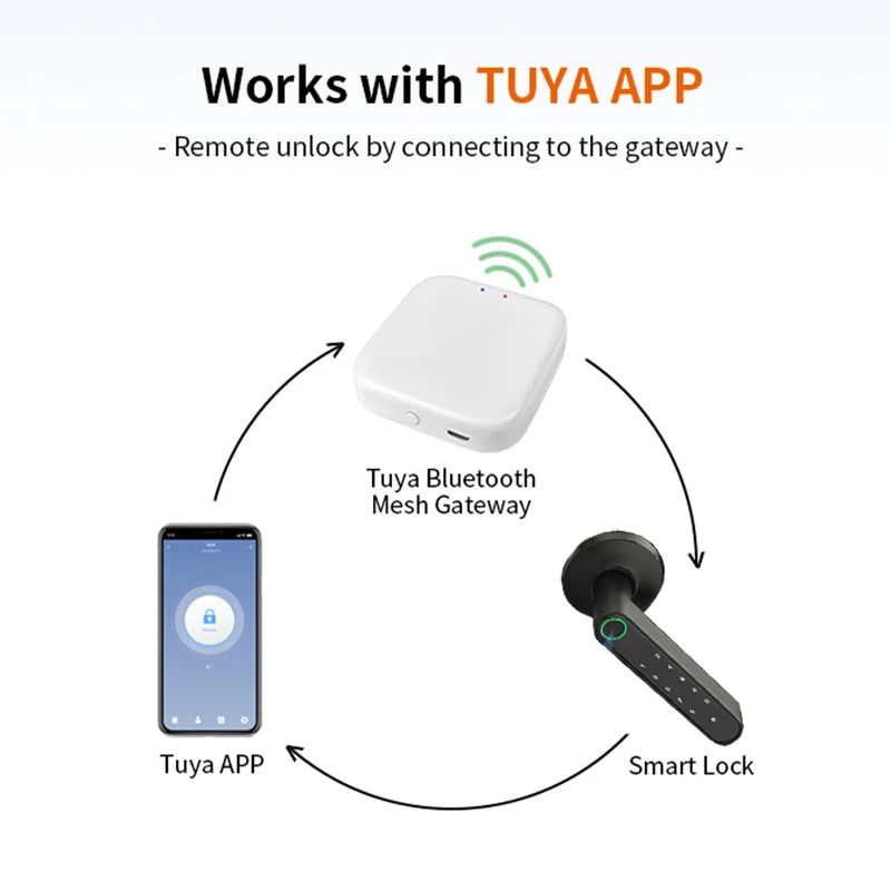 CowLost | locks-keys-product_id-tuya-bluetooth-smart-fingerprint-handle-lock-for-wooden-door-digital-lever-lock |12