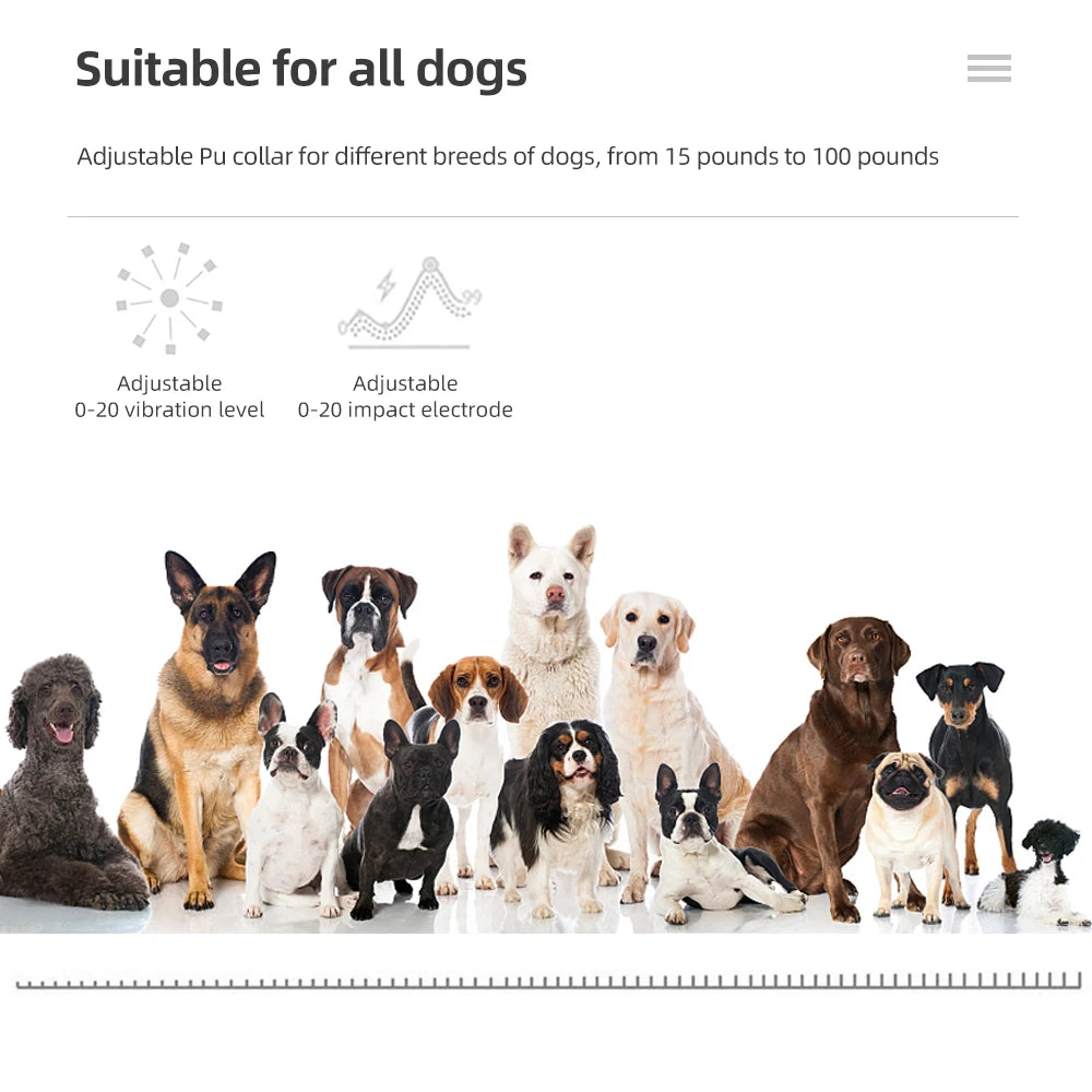 Dog Electric Training Collar with Remote – Shock, Vibration, Beep Modes for Small to Large Dogs