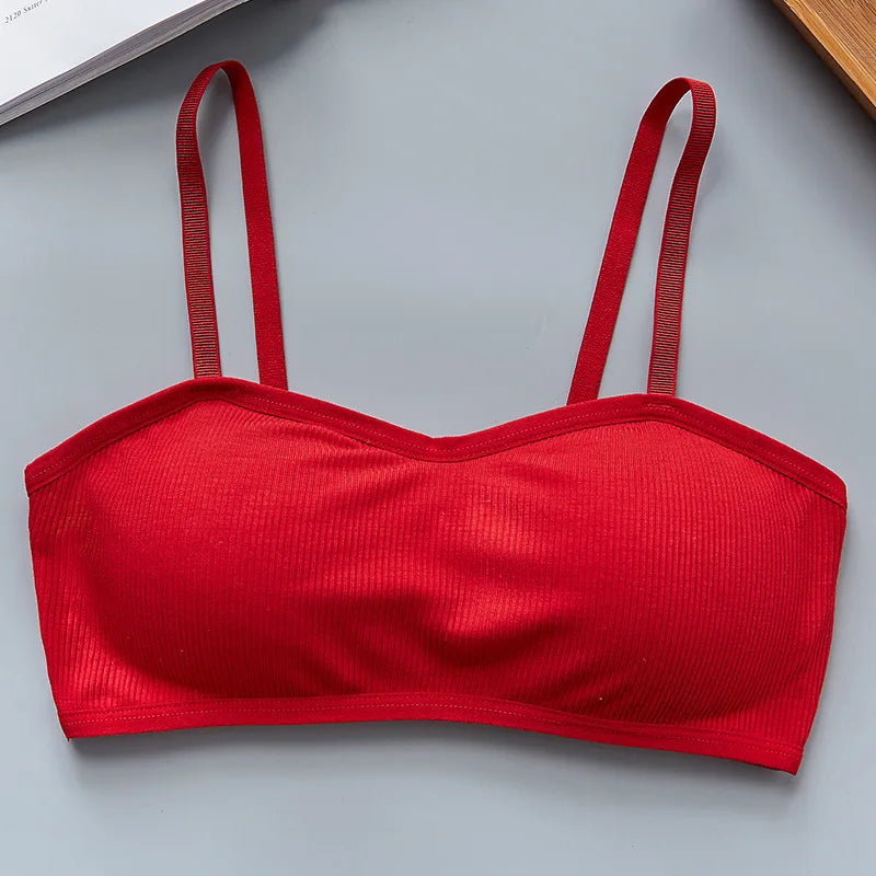 CowLost | product_id-wirefree-seamless-push-up-padded-bra-bralette-for-women-comfortable-intimates |26