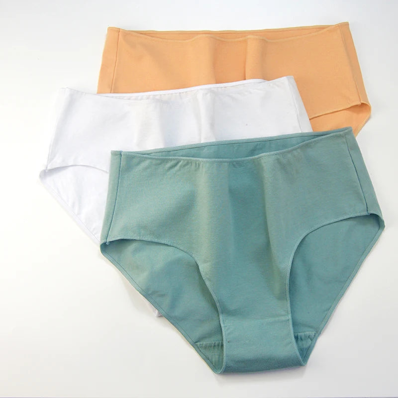 CowLost | product_id-2pcs-women-s-high-waist-cotton-briefs-breathable-solid-color-m-2xl |7