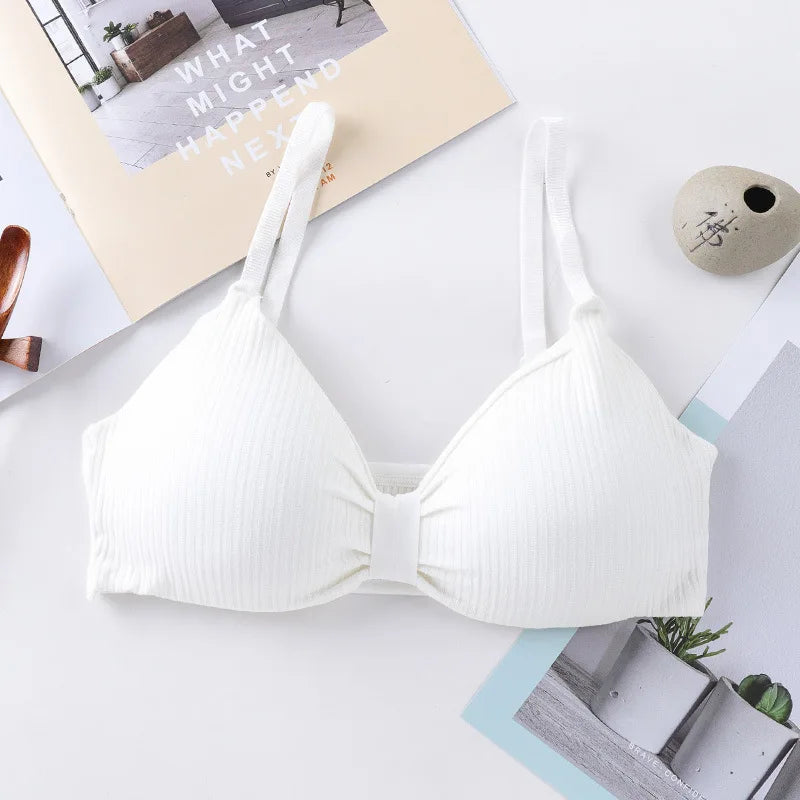 CowLost | product_id-wire-free-seamless-push-up-bra-for-women-comfortable-solid-lingerie |9