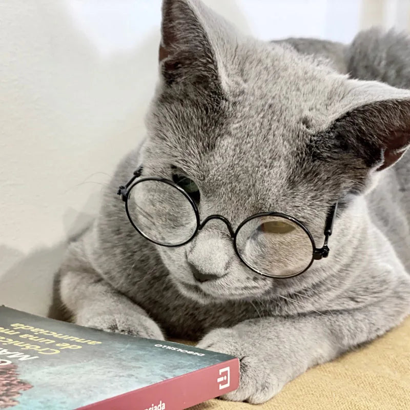 CowLost | earmuffs-vintage-round-cat-sunglasses-pet-photo-props-for-cats-and-small-dogs |7