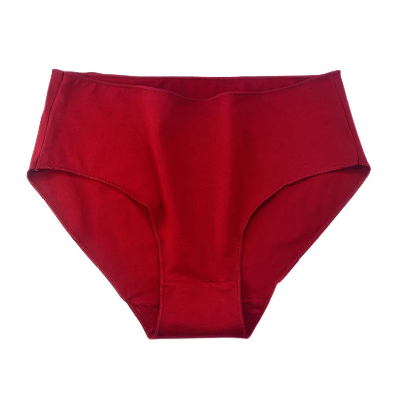 CowLost | product_id-2-pack-women-s-high-rise-cotton-briefs-solid-colors-m-2xl |14