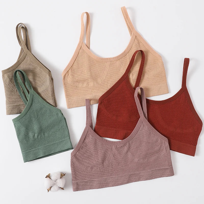 CowLost | product_id-seamless-wireless-push-up-low-back-sport-bra-for-women-m-xl |8