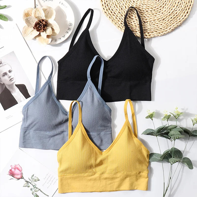 CowLost | product_id-seamless-u-back-tube-top-bra-with-removable-pads-for-women-fitness |1