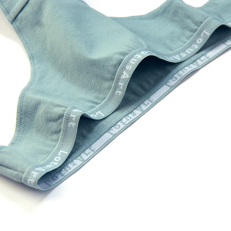 CowLost | product_id-3pcs-women-s-cotton-low-rise-seamless-breathable-g-string-panties-set |3