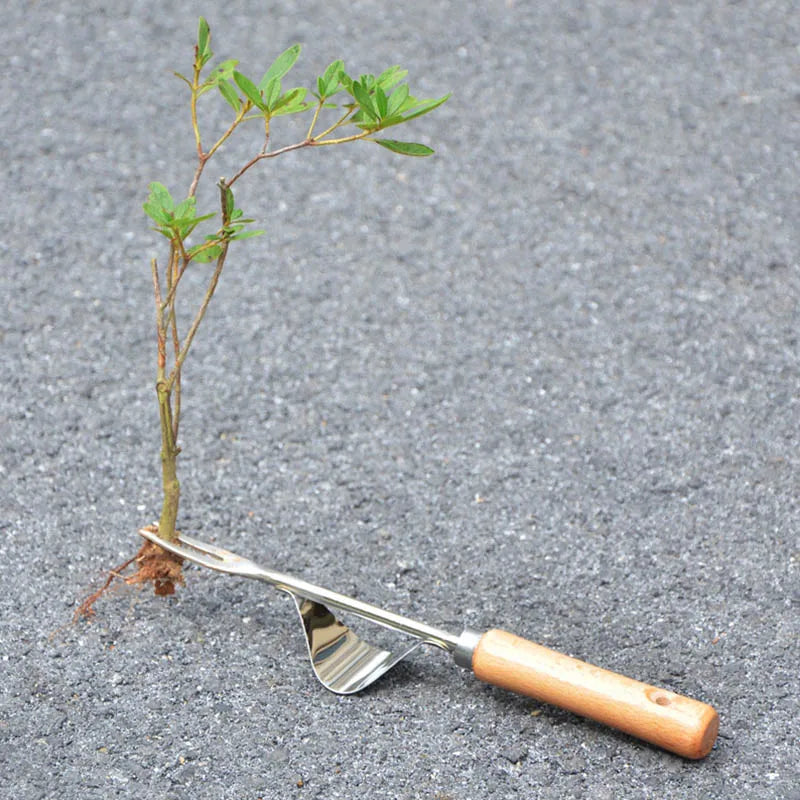 CowLost | product_id-stainless-steel-garden-weeder-with-wood-handle-hand-weeding-dandelion-removal-tool |6