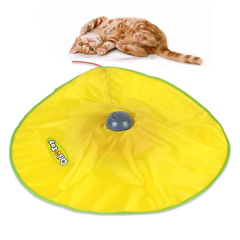 CowLost | product_id-automatic-electric-cat-toy-with-moving-feather-mouse-and-4-speed-motion-plate |8