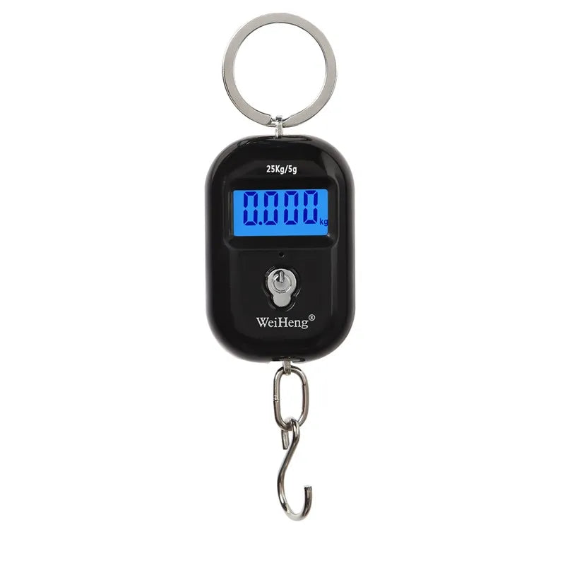 Mini Digital Hanging Scale 25kg 5g LCD Pocket Fishing Luggage Keychain