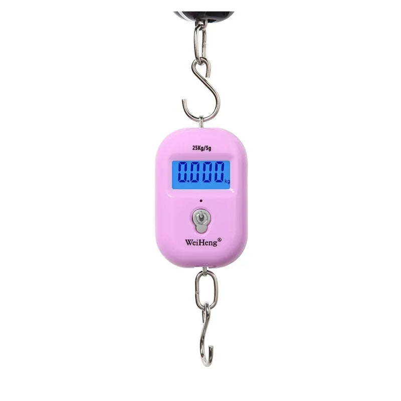 Mini Digital Hanging Scale 25kg 5g LCD Pocket Fishing Luggage Keychain