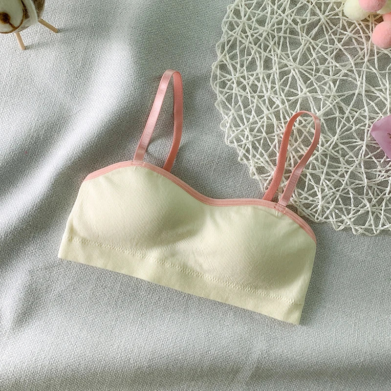 CowLost | product_id-wireless-padded-push-up-bra-for-women-comfortable-solid-color-brassiere |4