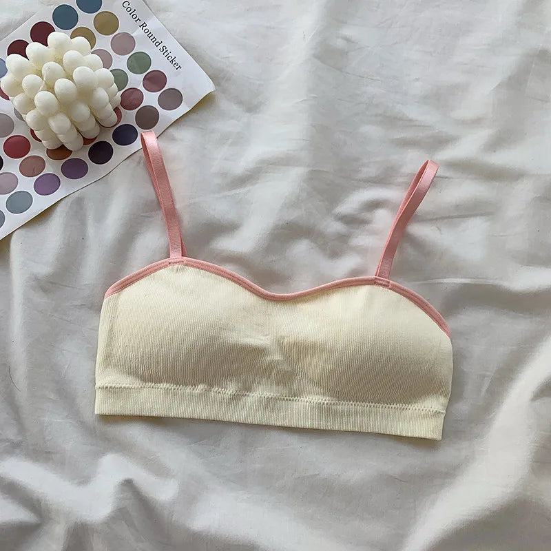CowLost | product_id-wireless-padded-push-up-bra-for-women-comfortable-solid-color-brassiere |10