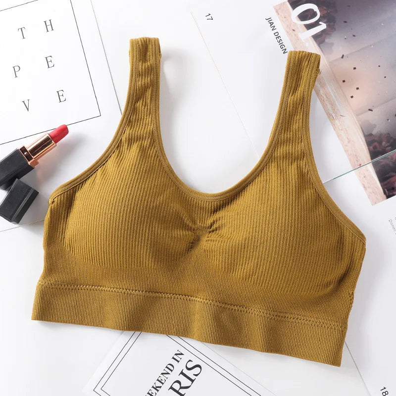 CowLost | product_id-ollymurs-seamless-wireless-push-up-padded-bra-top-for-women-m-l |5
