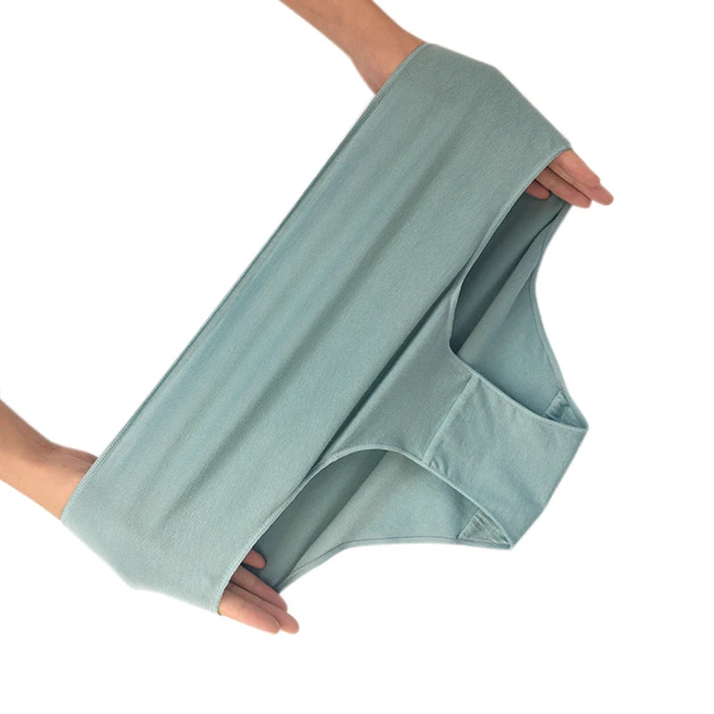 CowLost | product_id-2pcs-women-s-high-waist-cotton-briefs-breathable-solid-color-m-2xl |9