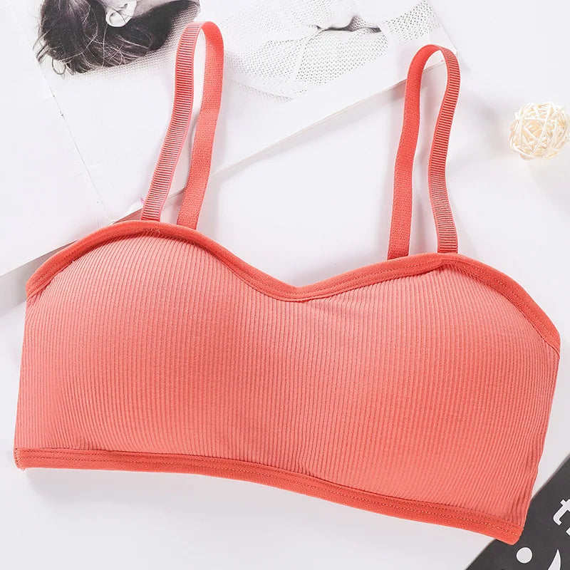 CowLost | product_id-wirefree-seamless-push-up-padded-bra-bralette-for-women-comfortable-intimates |29