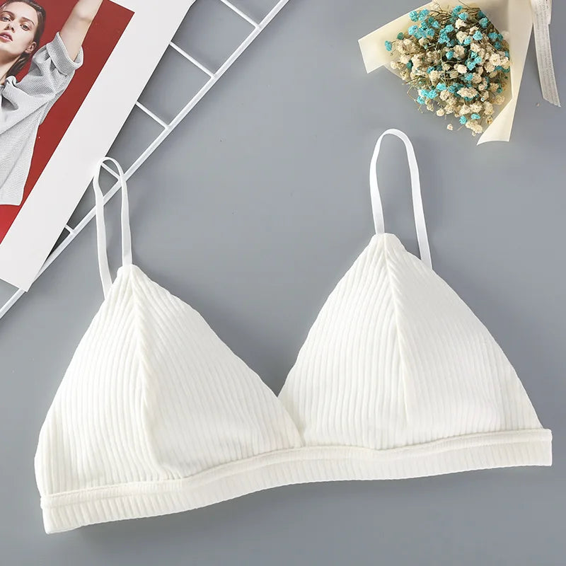 CowLost | product_id-cotton-padded-wire-free-push-up-bra-for-women-solid-comfortable-bralette |5