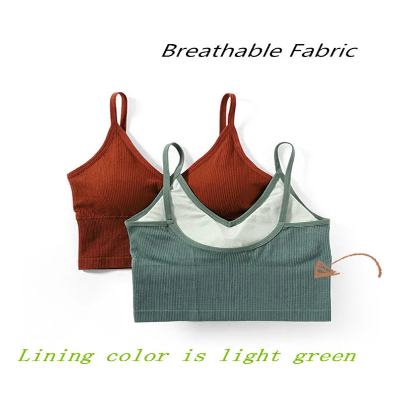 CowLost | women-tank-tops-sports-cropped-low-back-bralette-seamless-underwear-female-crop-top-sexy-lingerie-padded-camisole |3