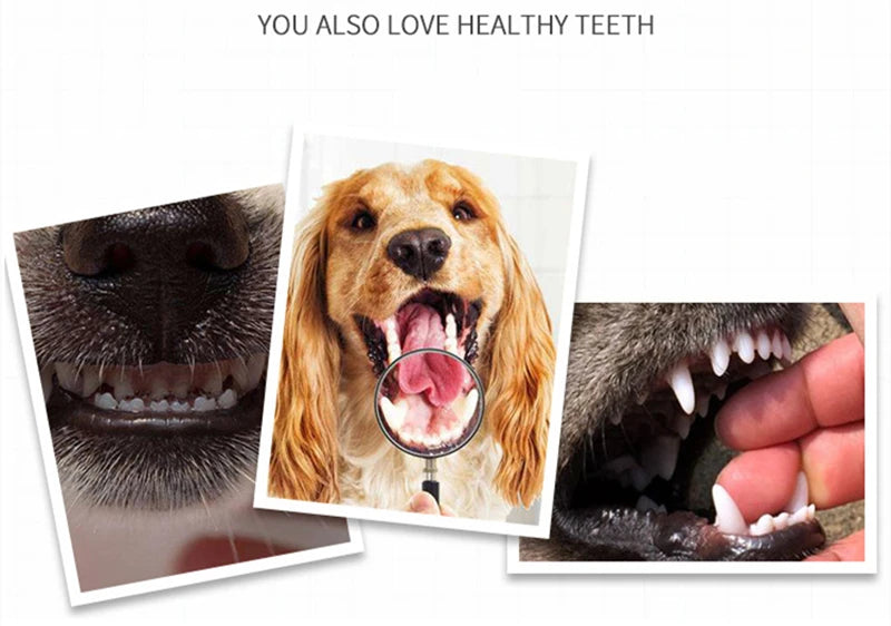 CowLost | pet-beds-soft-pet-finger-toothbrush-for-dogs-1-3-pcs |15