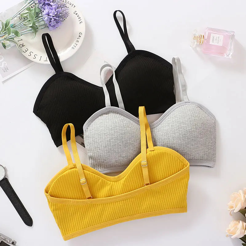 CowLost | product_id-wirefree-seamless-push-up-padded-bra-bralette-for-women-comfortable-intimates |7