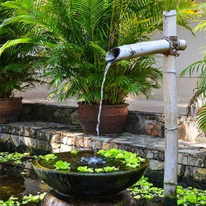 CowLost | product_id-2-5w-solar-water-pump-fountain-with-6-nozzles-and-4ft-pipe-for-garden-pond-bird-bath |16