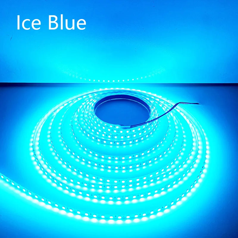 CowLost | 5m-600leds-led-strip-2835-dc12v-24v-120leds-m-home-lamp-strip |40
