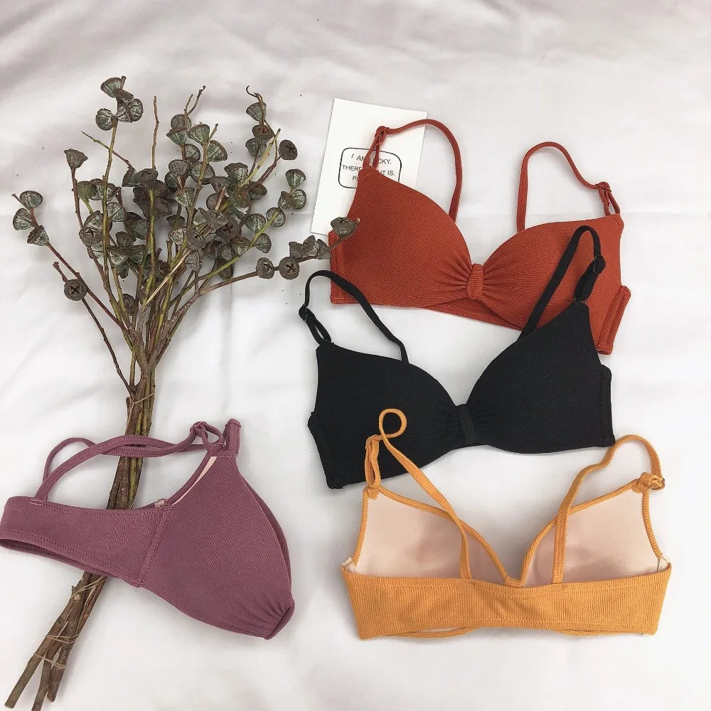 CowLost | product_id-wire-free-seamless-push-up-padded-bralette-for-women-a-b-cup |2