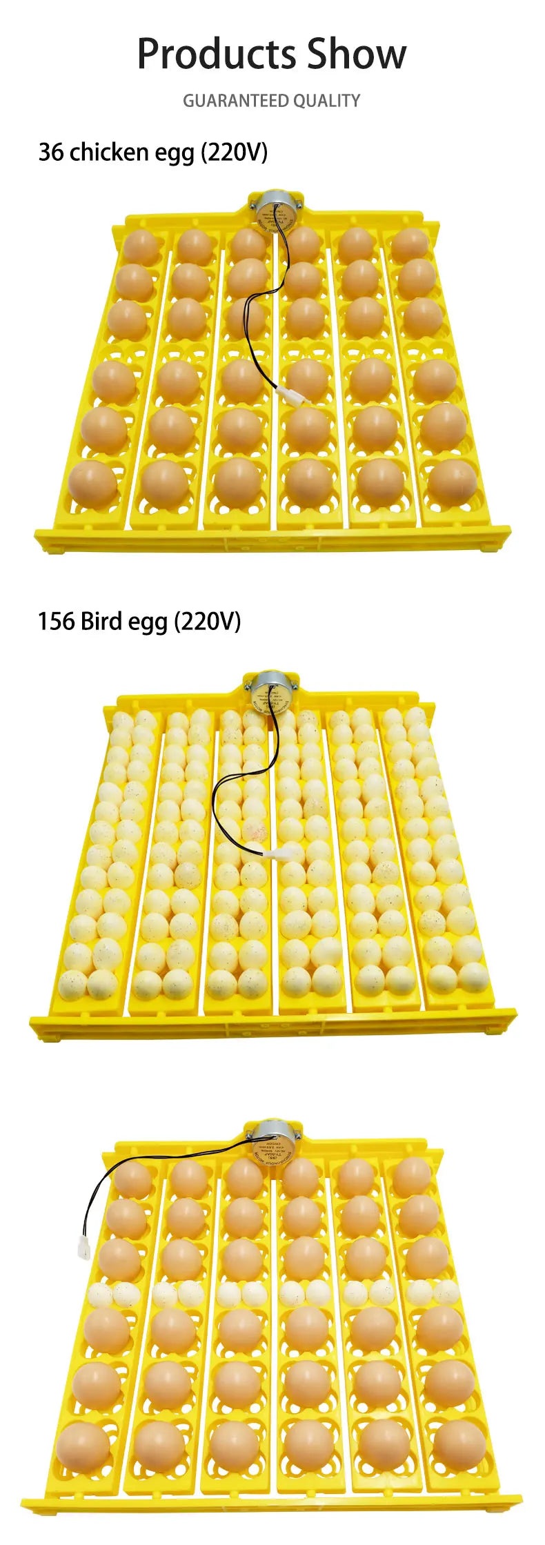 156-Count Automatic Quail Egg Incubator Turner Poultry Incubation Equipment for Chicks and Ducks