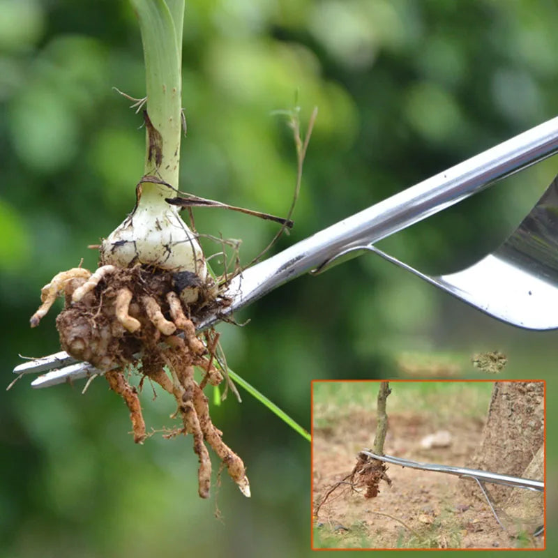 CowLost | product_id-stainless-steel-garden-weeder-with-wood-handle-hand-weeding-dandelion-removal-tool |14
