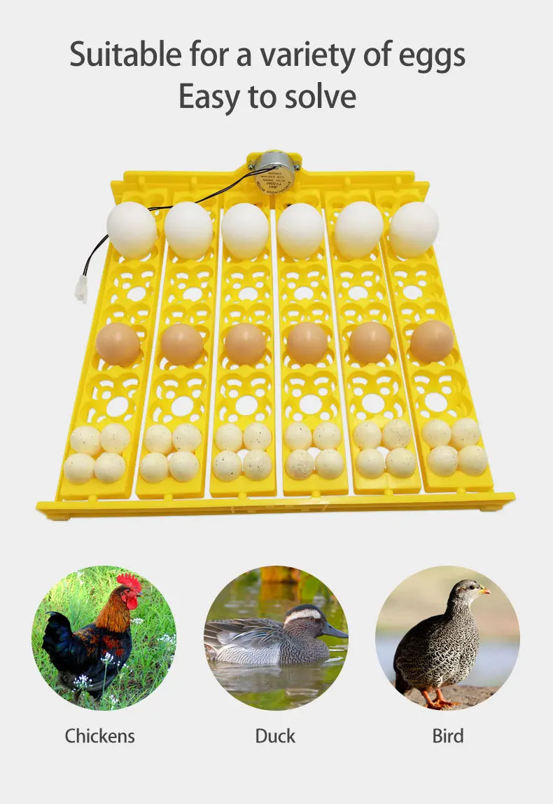 156-Count Automatic Quail Egg Incubator Turner Poultry Incubation Equipment for Chicks and Ducks