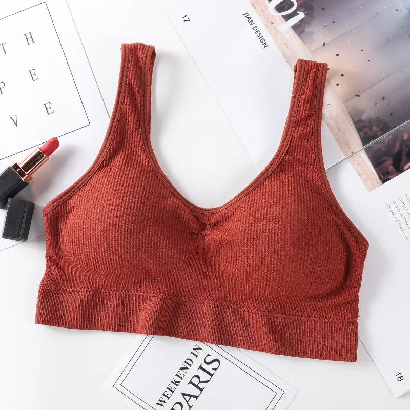 CowLost | product_id-ollymurs-seamless-wireless-push-up-padded-bra-top-for-women-m-l |8