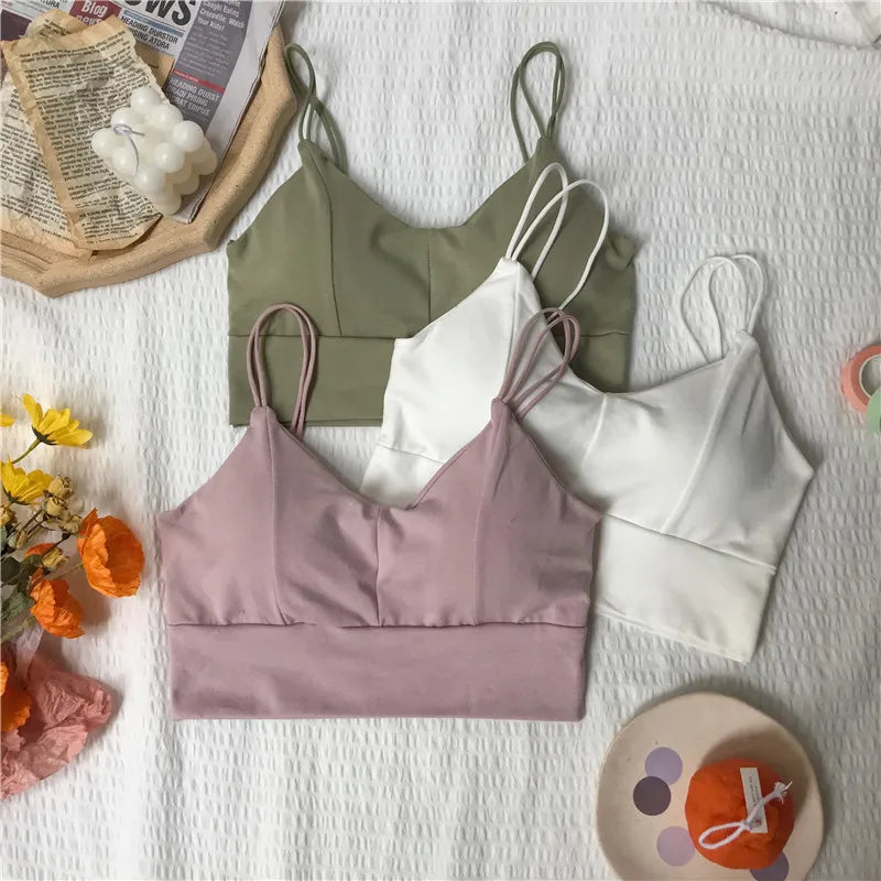 CowLost | product_id-wireless-cotton-women-s-padded-tube-bra-crop-top-sleeveless-solid-color |8