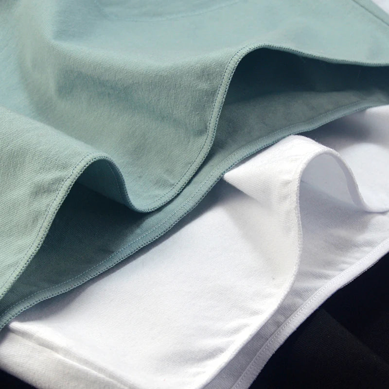 CowLost | product_id-2-pack-women-s-high-rise-cotton-briefs-solid-colors-m-2xl |10