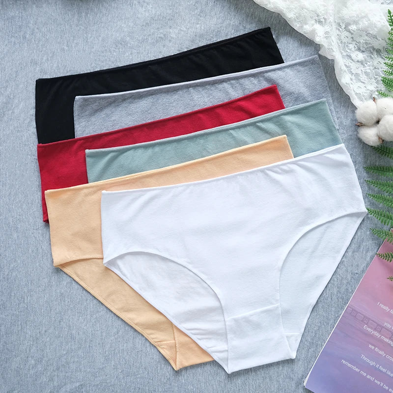CowLost | product_id-2pcs-women-s-high-waist-cotton-briefs-breathable-solid-color-m-2xl |1