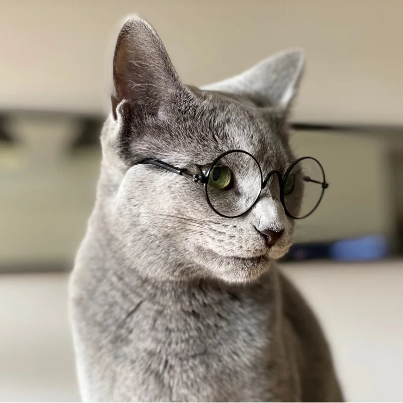 CowLost | earmuffs-vintage-round-cat-sunglasses-pet-photo-props-for-cats-and-small-dogs |8