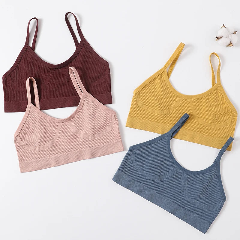 CowLost | product_id-seamless-wireless-push-up-low-back-sport-bra-for-women-m-xl |11