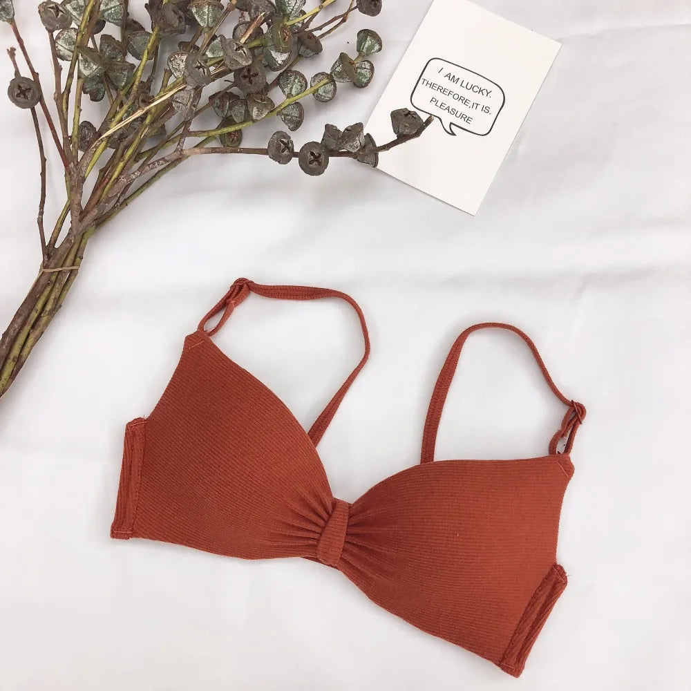 CowLost | product_id-wire-free-seamless-push-up-padded-bralette-for-women-a-b-cup |3