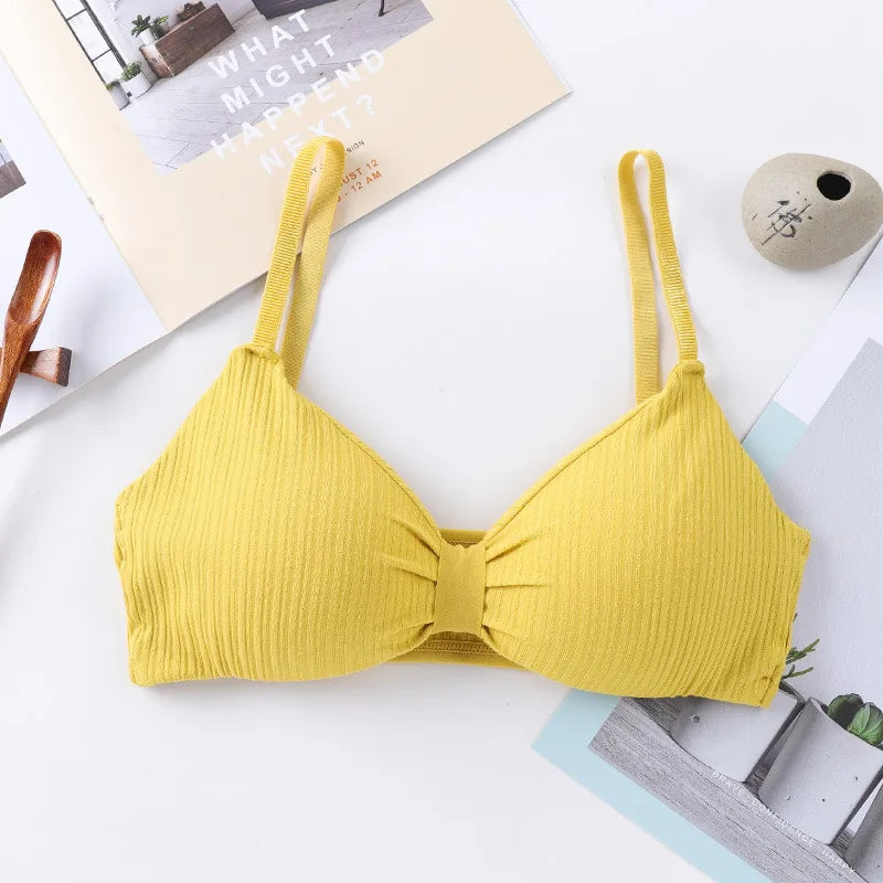 CowLost | product_id-wire-free-seamless-push-up-bra-for-women-comfortable-solid-lingerie |11