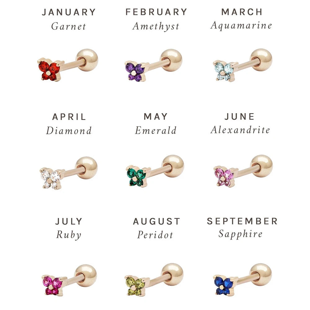 CowLost | business-card-cases-stainless-steel-birthstone-mini-stud-earrings-12-constellations |7