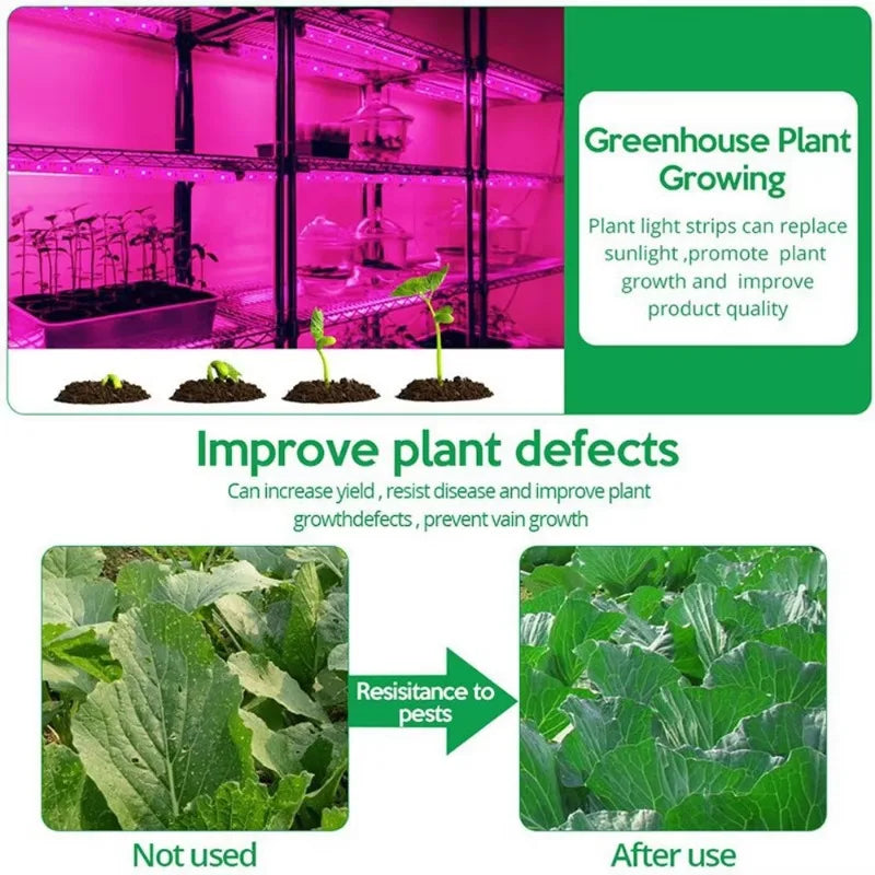 CowLost | led-grow-lights-product_id-full-spectrum-usb-5v-led-grow-light-for-seedlings-and-indoor-plants |5