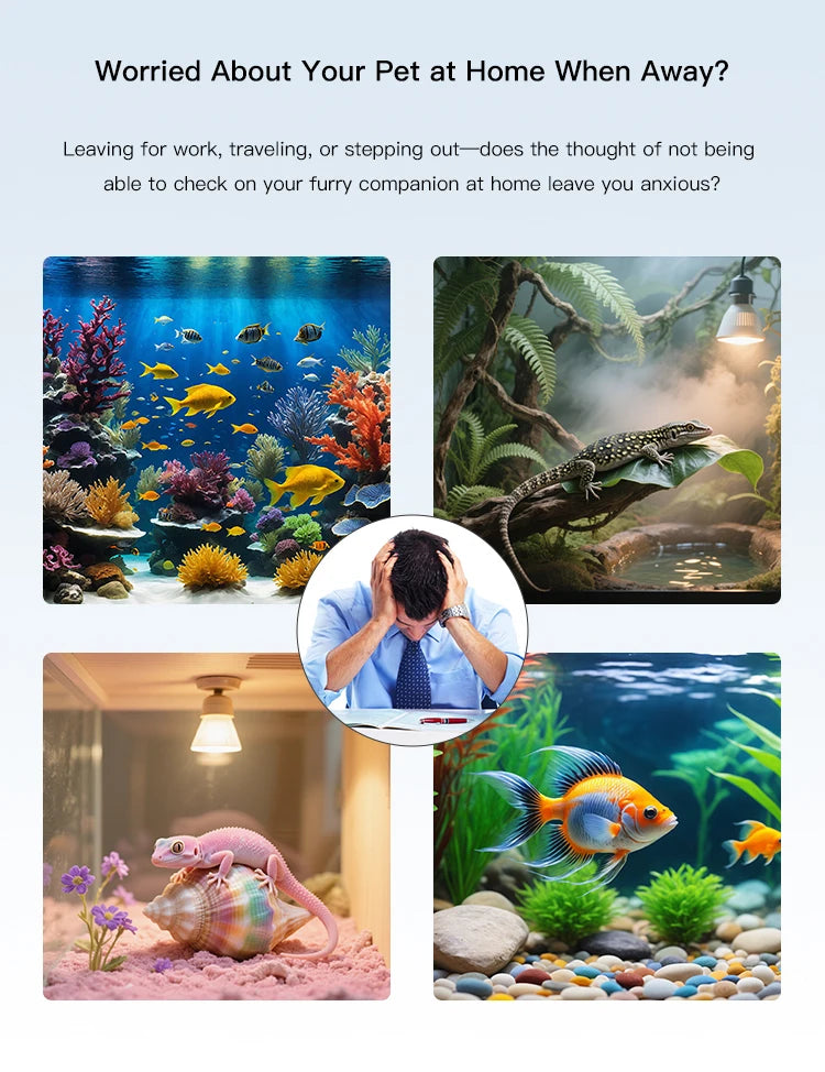 CowLost | product_id-vesafe-home-wifi-pet-camera-1080p-motion-detection-two-way-audio-fish-tank-surveillance |9