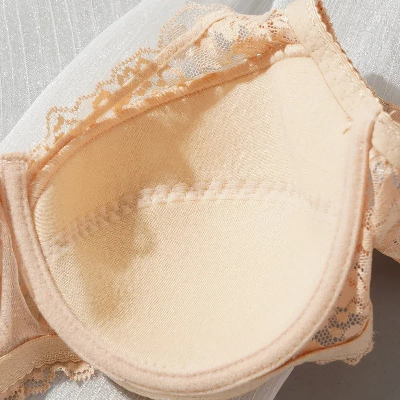 CowLost | women-sexy-lace-bra-push-up-bras-36-42-b-c-cup-plus-size-french-style |9