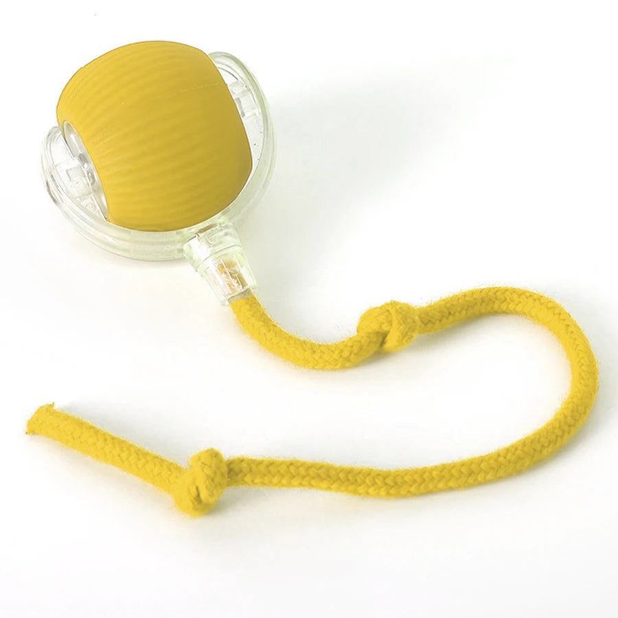 CowLost | product_id-rechargeable-automatic-rolling-ball-interactive-toy-for-cats-and-dogs |12